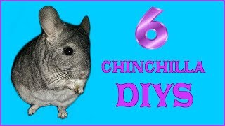 6 CHINCHILLA DIYS [upl. by Lenhard502]