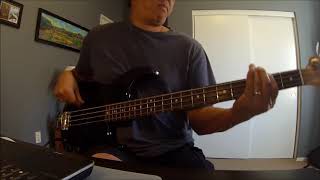 quotYoure The Only Womanquot Ambrosia Bass Cover [upl. by Ovid169]