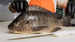 The Truth About Tilapia [upl. by Valli927]