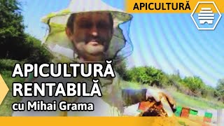 Miere de salcâm tratamente Varroa și apicultură rentabilă GRAMA MIHAI [upl. by Arbuckle657]