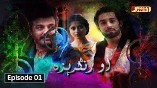 O Rungreza  Episode 01  Pashto Drama Serial  HUM Pashto 1 [upl. by Gainer]