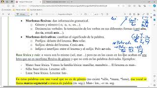 Estructura de la palabra morfemas lexemas tipos de palabra según su estructura [upl. by Ardnnek]