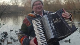 AkkordeonMusik am EntenTeich im Naturschutzgebiet Mönchbruch Hessen [upl. by Noir]