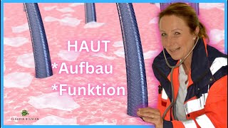 Die Haut Aufbau und Funktion [upl. by Nova]