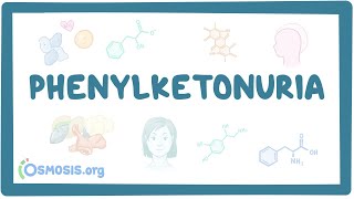 Phenylketonuria  causes symptoms diagnosis treatment pathology [upl. by Raseac]