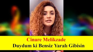 Cinare Melikzade  Duydum ki Bensiz Yaralı Gibisin Grup Roj cover [upl. by Hoffer]