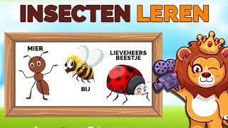 Insecten Leren Nederlands 🐛🐞  Insecten Kinderfilmpjes  NL Gesproken ✅ [upl. by Ahtebbat118]