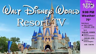 WDW Resort TV Today Channel  Disney World  LIVE STREAM  New Version [upl. by Dionisio]