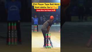 Mr360 of tape ball 😱🔥🥵 tapeballcricket cricketshorts youtubeshorts [upl. by Oriane]