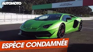 Lamborghini Aventador SVJ Launch control and revs😨 Big Flames🔥 novitec [upl. by Felske]