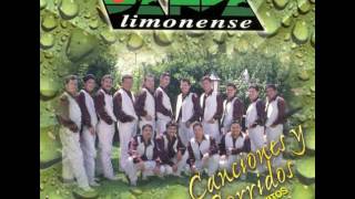 Piquetes De Hormiga  Banda Limonense [upl. by Essy]