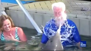 Dolphin Starts Water Spitting Fight In the Bahamas [upl. by Annaeerb]