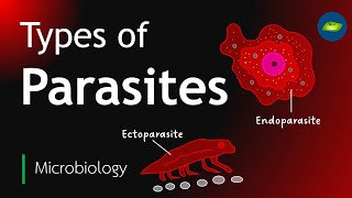 Types of Parasites  Classification of parasites  Microbiology  Basic science Series [upl. by Linoel]