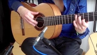 The Clansman Iron Maiden Acoustic  Thomas Zwijsen amp Blaze Bayley [upl. by Aratihc]