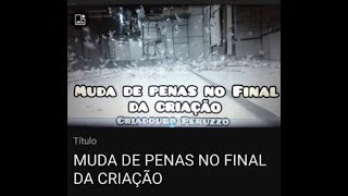 PINTASSILGO DA VENEZUELA – MUDA DE PENAS O QUE DEVO FAZER [upl. by Eldnar]