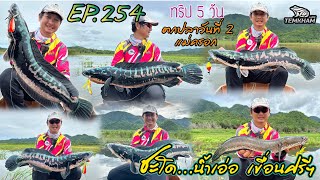 ทริป 5 วัน น้ำเอ่อเขื่อนศรีฯ ตกปลาวันที่ 2 ปลาครอก EP254 [upl. by Haimirej942]