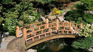 Dubuque Arboretum and Botanical Gardens Japanese Garden II [upl. by Aneloaup]