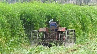 Mahindra 475 Tractor Puddling In Forest Like Plants InTractor Videos Palleturi [upl. by Hanafee183]