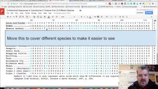 Cytochrome C Analysis [upl. by Noremmac902]