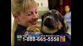 2005 ASPCA commercial [upl. by Sseb475]