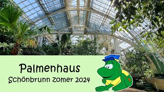 Palmenhaus Schönbrunn zomer 2024 [upl. by Yorgen]