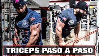 El mejor ejercicio para CRECER tus TRICEPS [upl. by Millisent]