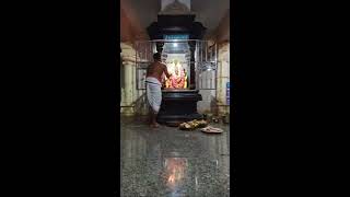 Govindapuram tapovanam sankata chaturthi 15 11 19 [upl. by Ivor]