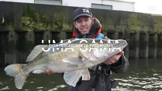 Daiwa  PROREX AGS SPINNING [upl. by Ynnoj]