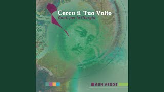 Cerco il tuo volto [upl. by Oileduab477]