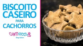 Receita de Biscoito Caseiro Natural para Cachorros [upl. by Netram]