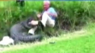 Man Describes Frightening Alligator Attack That Was Caught On Tape [upl. by Rdnaskela372]