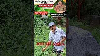 Bhumi Amla ke Chamatkari Fayde  Boost Your Health Naturally [upl. by Ben691]