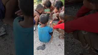 Humanity 🙏humanityshorts viral video trending hindi song thehelpinghand2479 [upl. by Conias]