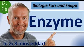 Enzyme  Alles Wichtige für das Abi in 2x3 Minuten einfach erklärt  Biologie kurz und knapp [upl. by Kalindi]