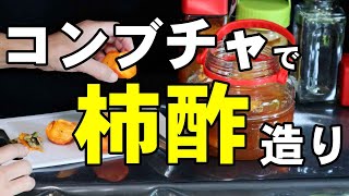 失敗しない「柿酢」造りにチャレンジ❢【コンブチャで柿酢造り】 [upl. by Alhak]