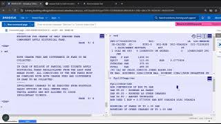 Split and Auto Reissue Amadeus course 2nd session [upl. by Elexa]