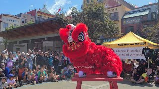 Female Lion Dancers [upl. by Madella799]