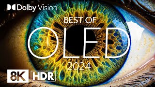 BEST OLED 2024  DOLBY VISION® 8K HDR [upl. by Niessuh]