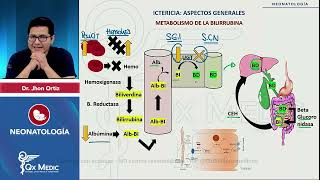 NEONATOLOGÍA  ICTERICIA NEONATAL  2024 QX MEDIC [upl. by Howland]