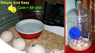 DIY  Hatching Egg Incubator Simple And Easy  Homemade Incubator [upl. by Ettedualc]