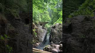 Beautiful scene  Black Linn Falls shorts trending travel video foryou [upl. by Morrill373]