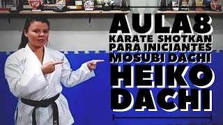 Karate Shotokan para iniciantes  Aula 8  Musubi dachi  Heiko dachi [upl. by Leora]