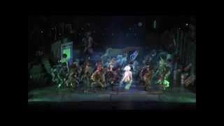 Jellicle Cats  2013 [upl. by Giah]