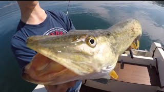 HechtSchleppen Bielersee  Pike trolling on the Bielersee [upl. by Asusej]