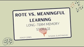 Rote vs Meaningful Learning  LongTerm Memory Storage Declarative Knowledge [upl. by Moffat]