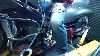 Suzuki Turbo Hayabusa Dyno Test 503 Rwhp 364Nm Torque [upl. by Eceirahs487]