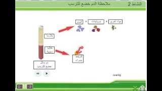 مكونات الدم الثالثة إعدادي [upl. by Fondea]