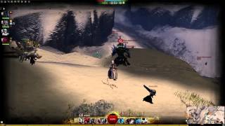 Guild Wars 2  ECGUILD  WvW  Cliff Hanger [upl. by Annaerdna]