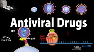 Antiviral Drugs Mechanisms of Action Animation [upl. by Potash]