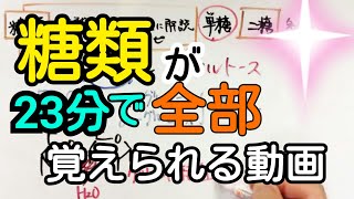 【化学】糖類の覚え方が23分でわかる動画【語呂合わせ】 [upl. by Wittenburg]